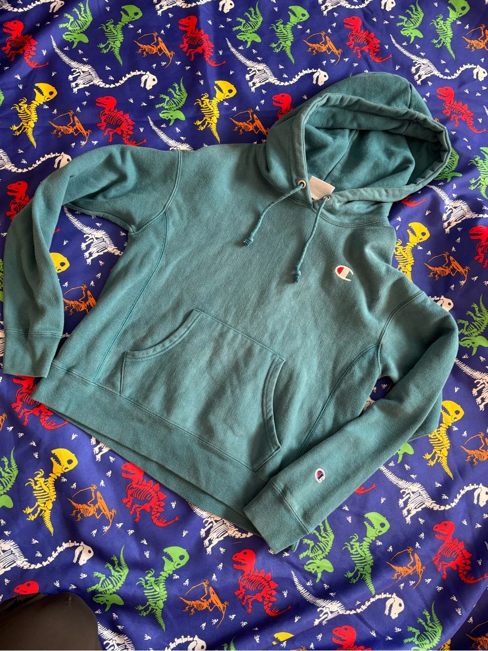 Ladies small champion hoodie